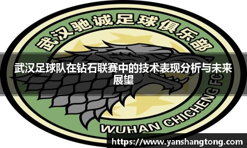 武汉足球队在钻石联赛中的技术表现分析与未来展望
