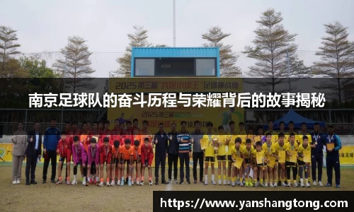 南京足球队的奋斗历程与荣耀背后的故事揭秘